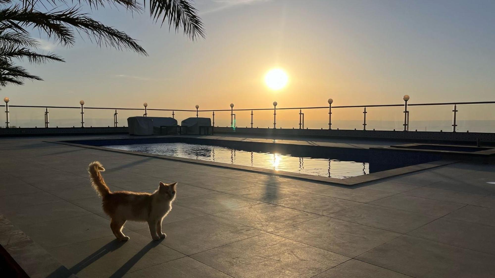 Golden Rays Chalet Madaba Buitenkant foto